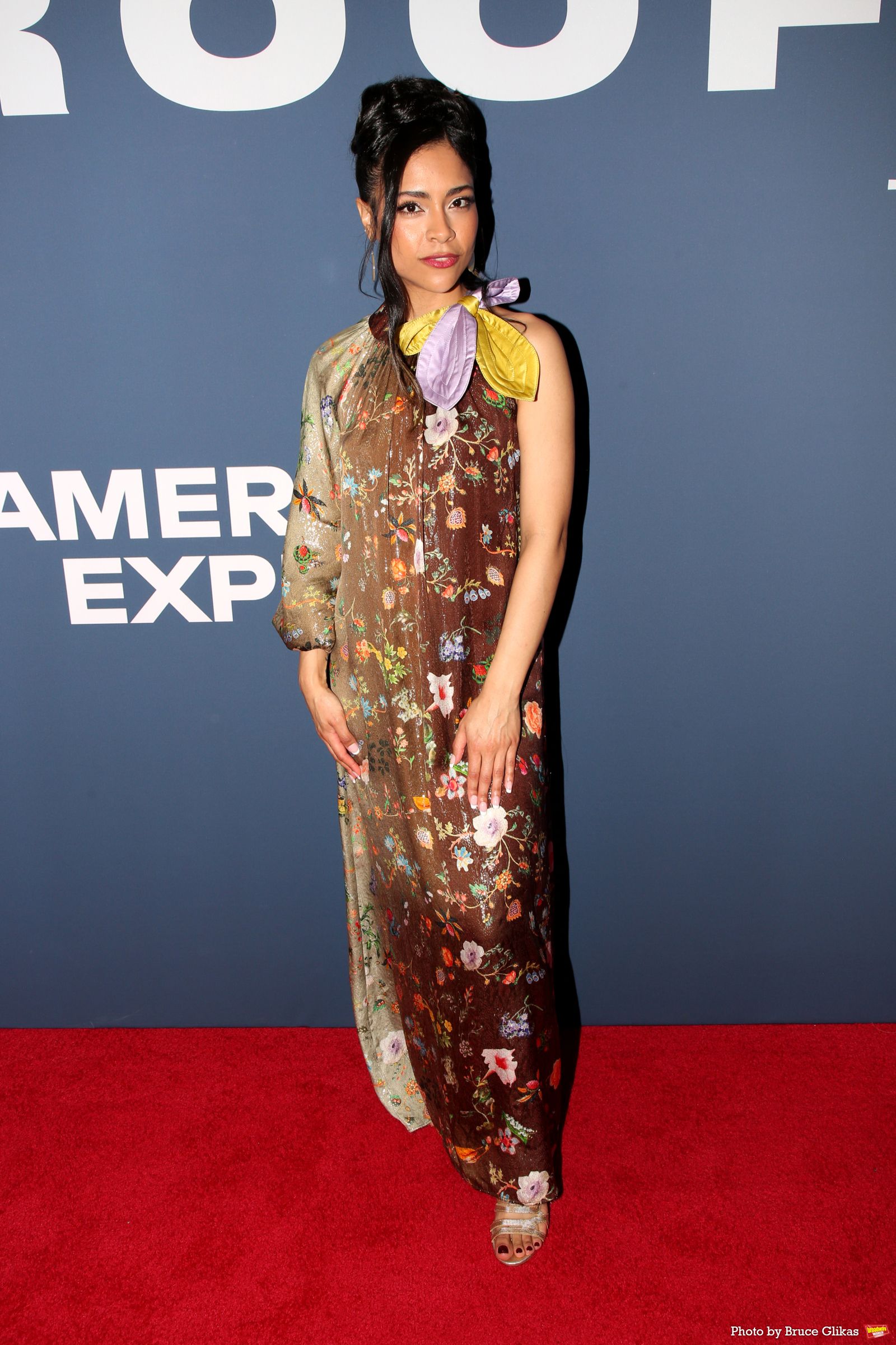 Photos: On the Red Carpet at Opening Night of PROOF — photo 25 of 33