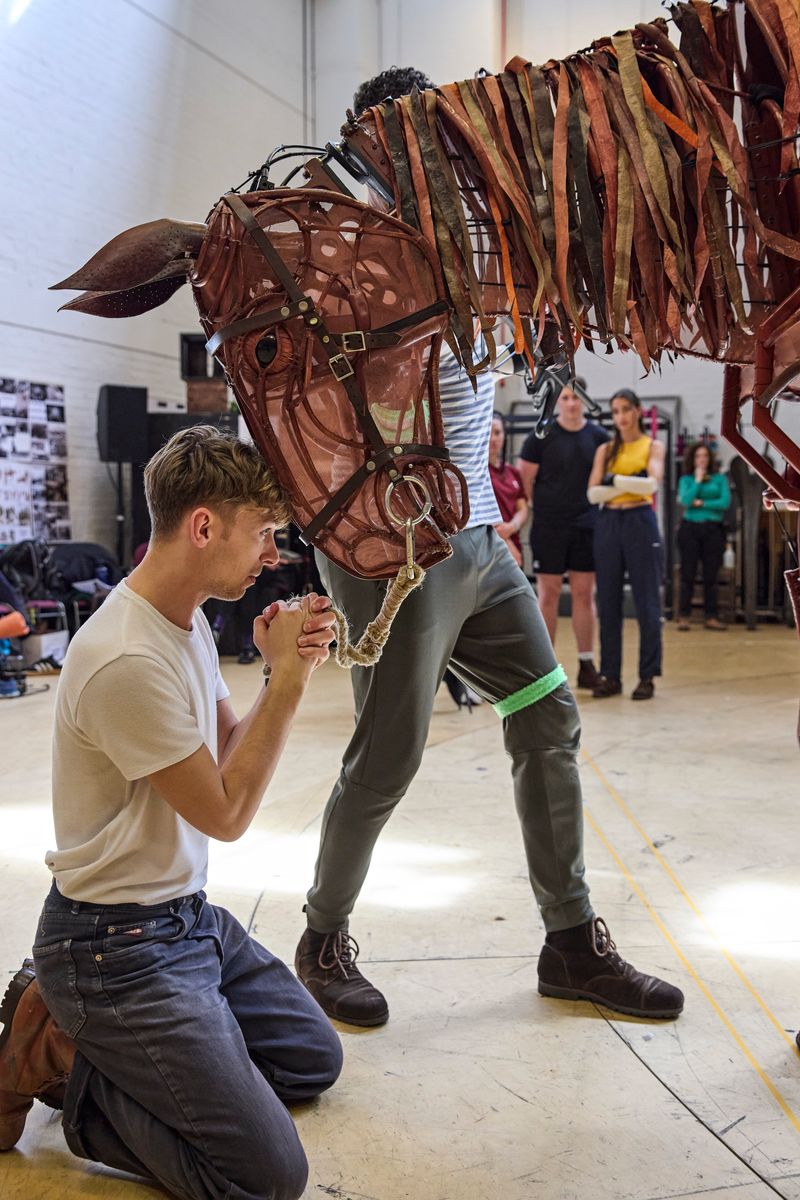 Photos: WAR HORSE in Rehearsal at the National Theatre — photo 2 of 25