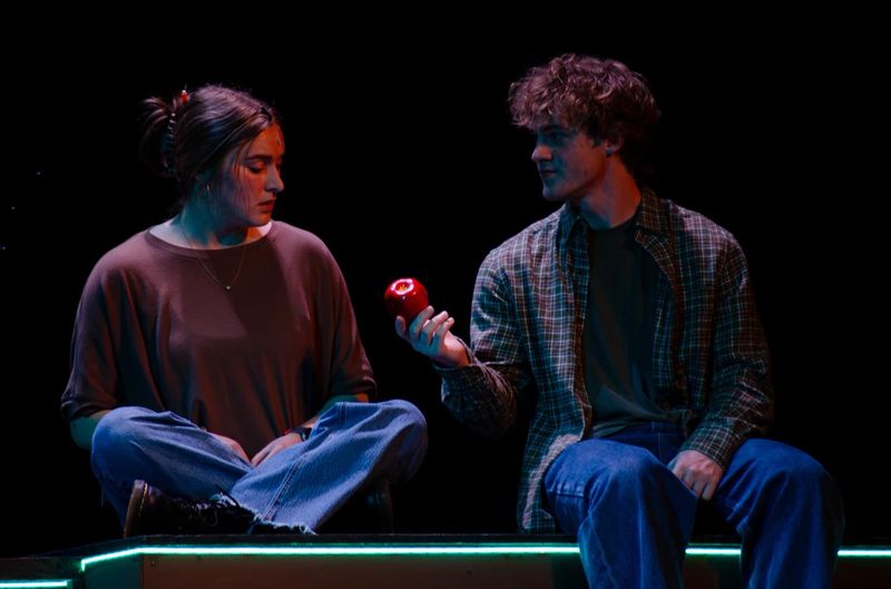Review: NEXT TO NORMAL at The Lyric Theater in Harrison Image