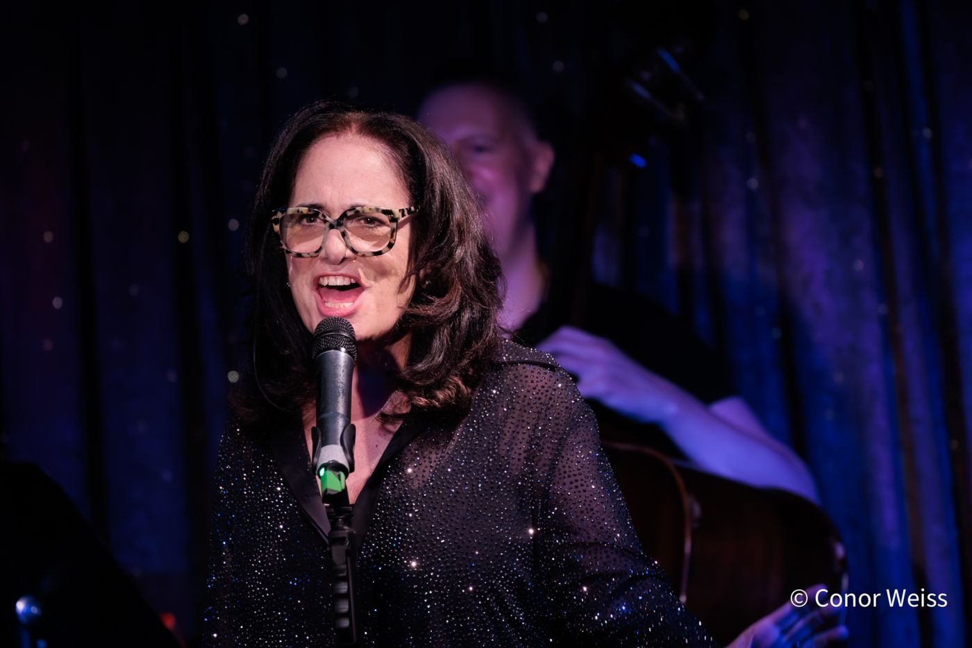 Photos: Helane Blumfeld's INVISIBLE TO INVINCIBLE at Don't Tell Mama  Image