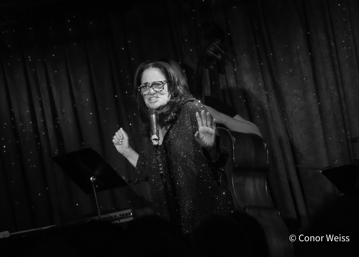 Photos: Helane Blumfeld's INVISIBLE TO INVINCIBLE at Don't Tell Mama  Image