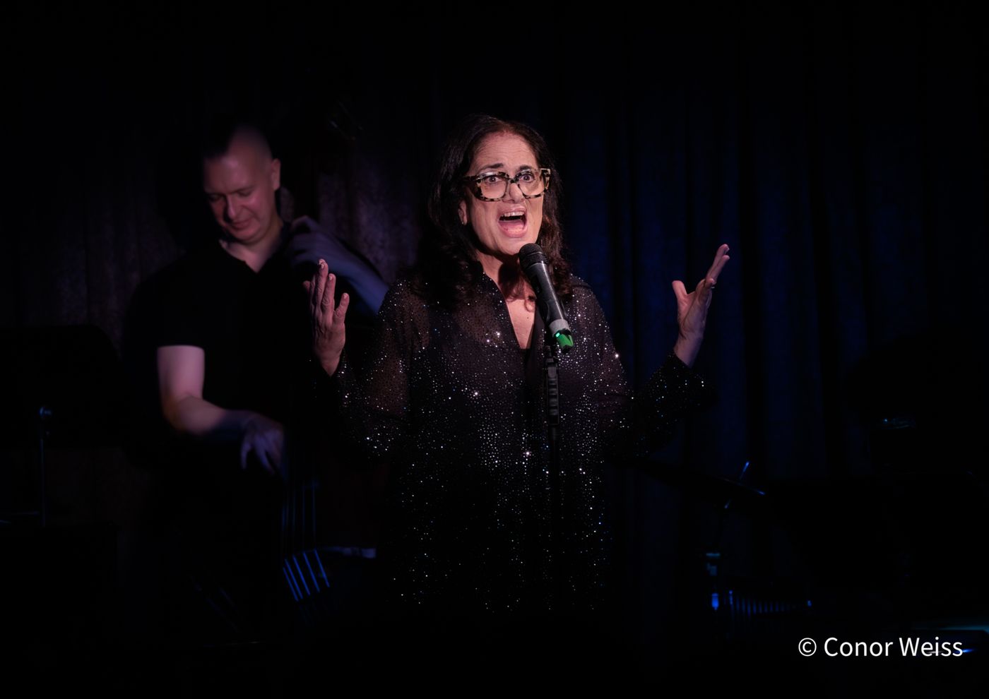 Photos: Helane Blumfeld's INVISIBLE TO INVINCIBLE at Don't Tell Mama  Image