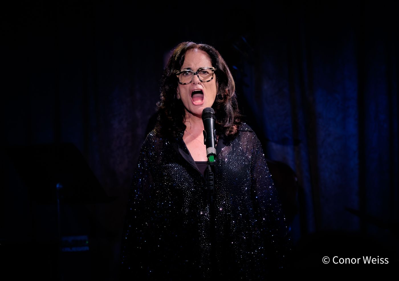 Photos: Helane Blumfeld's INVISIBLE TO INVINCIBLE at Don't Tell Mama  Image