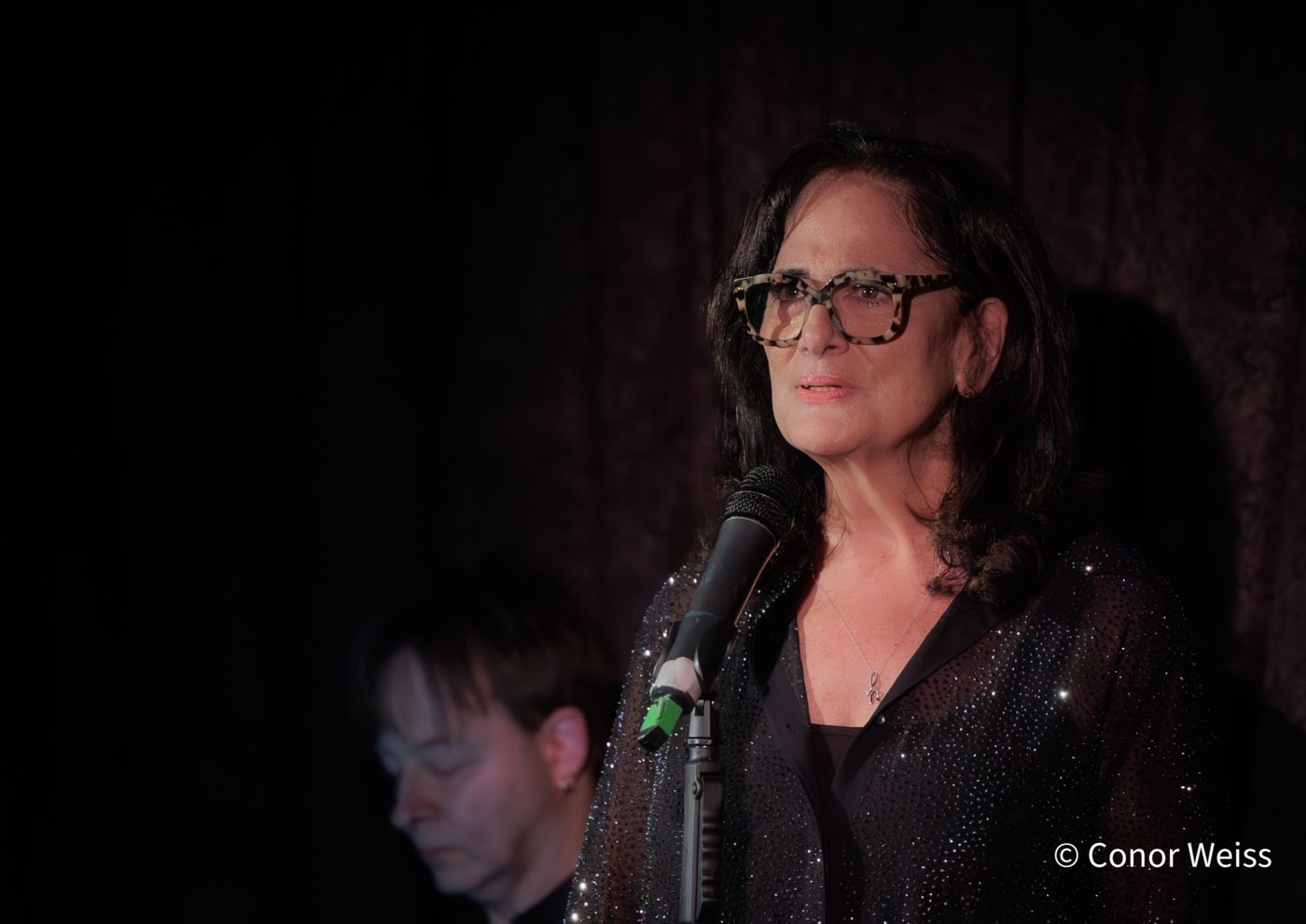 Photos: Helane Blumfeld's INVISIBLE TO INVINCIBLE at Don't Tell Mama  Image