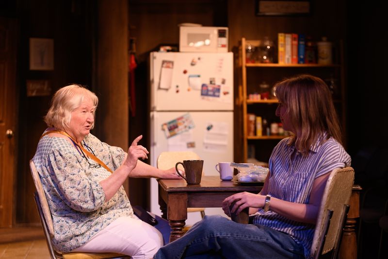 Photos: Anne Sheridan Smith and Kathy Ruhl in 'NIGHT MOTHER at Redtwist Theatre — photo 3 of 11