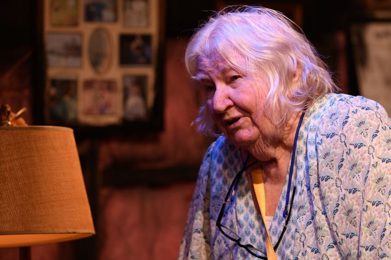 Photos: Anne Sheridan Smith and Kathy Ruhl in 'NIGHT MOTHER at Redtwist Theatre — photo 9 of 11