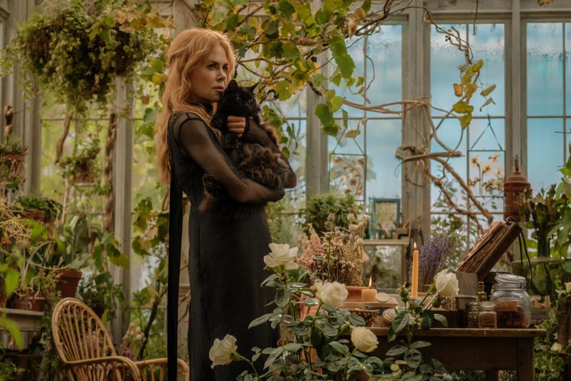 Video/Photos: Sandra Bullock & Nicole Kidman in PRACTICAL MAGIC 2 Teaser Image