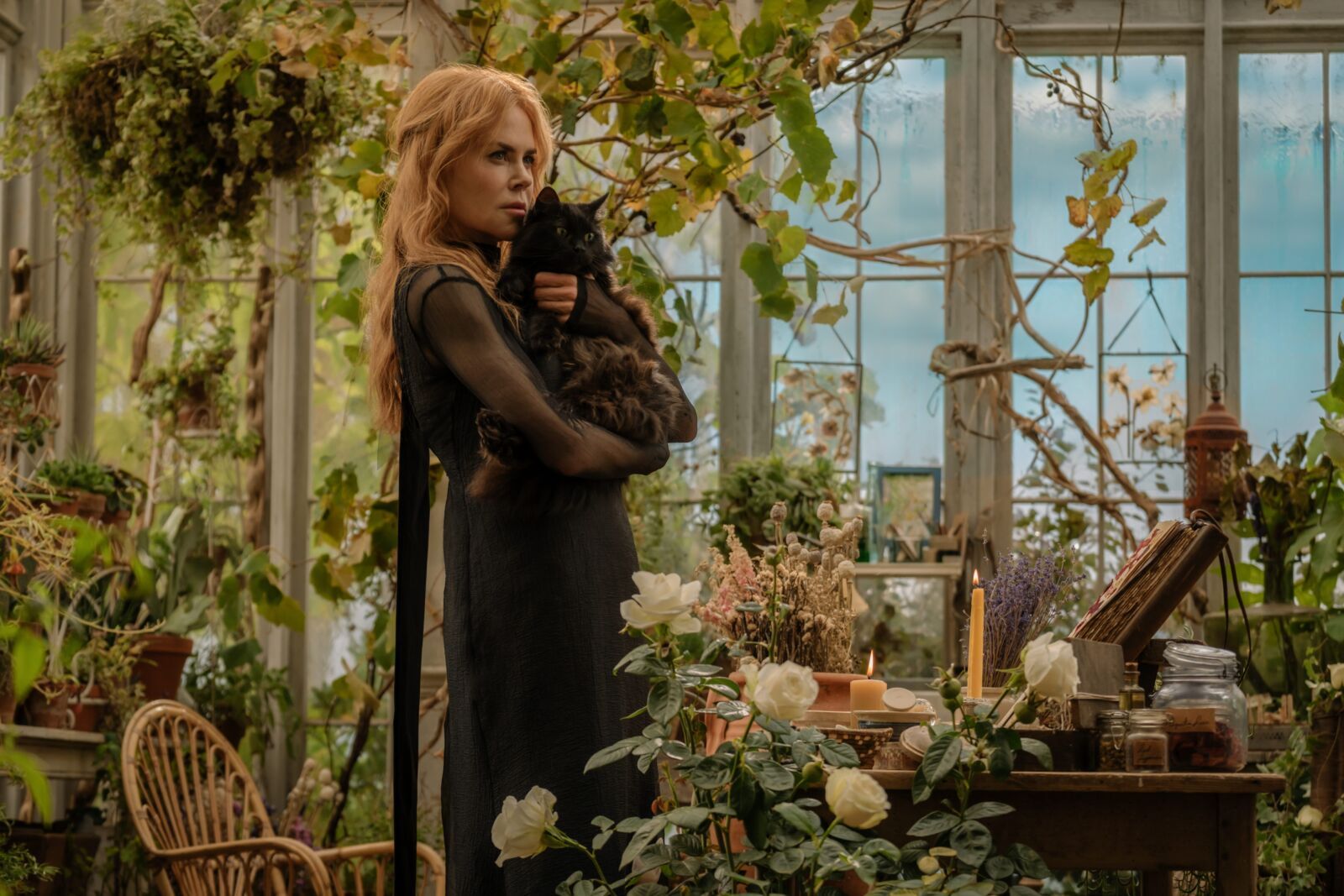 Video/Photos: Sandra Bullock & Nicole Kidman in PRACTICAL MAGIC 2 Teaser  Image