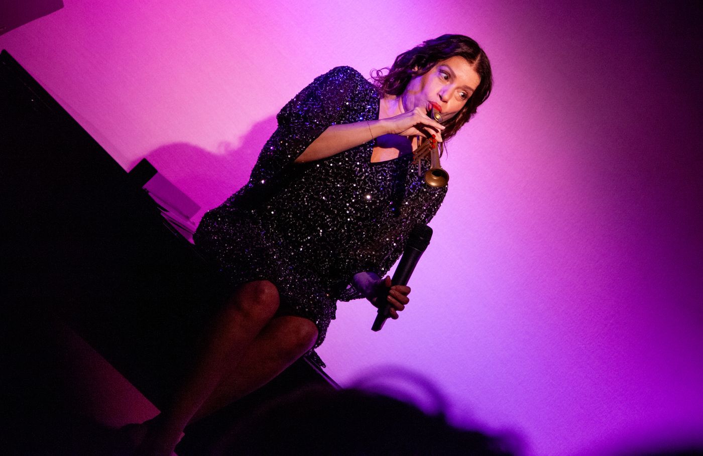 Review: Gerrilyn Sohn Debuts TIMELESS: A TRIBUTE TO BERNADETTE PETERS at Don't Tell Mama Image