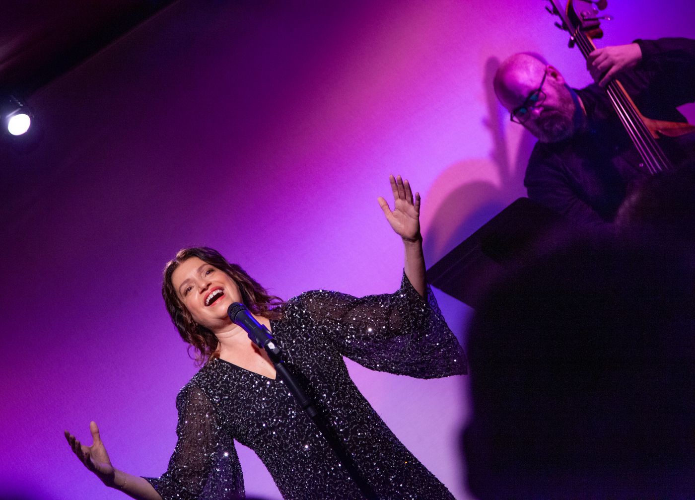 Review: Gerrilyn Sohn Debuts TIMELESS: A TRIBUTE TO BERNADETTE PETERS at Don't Tell Mama Image