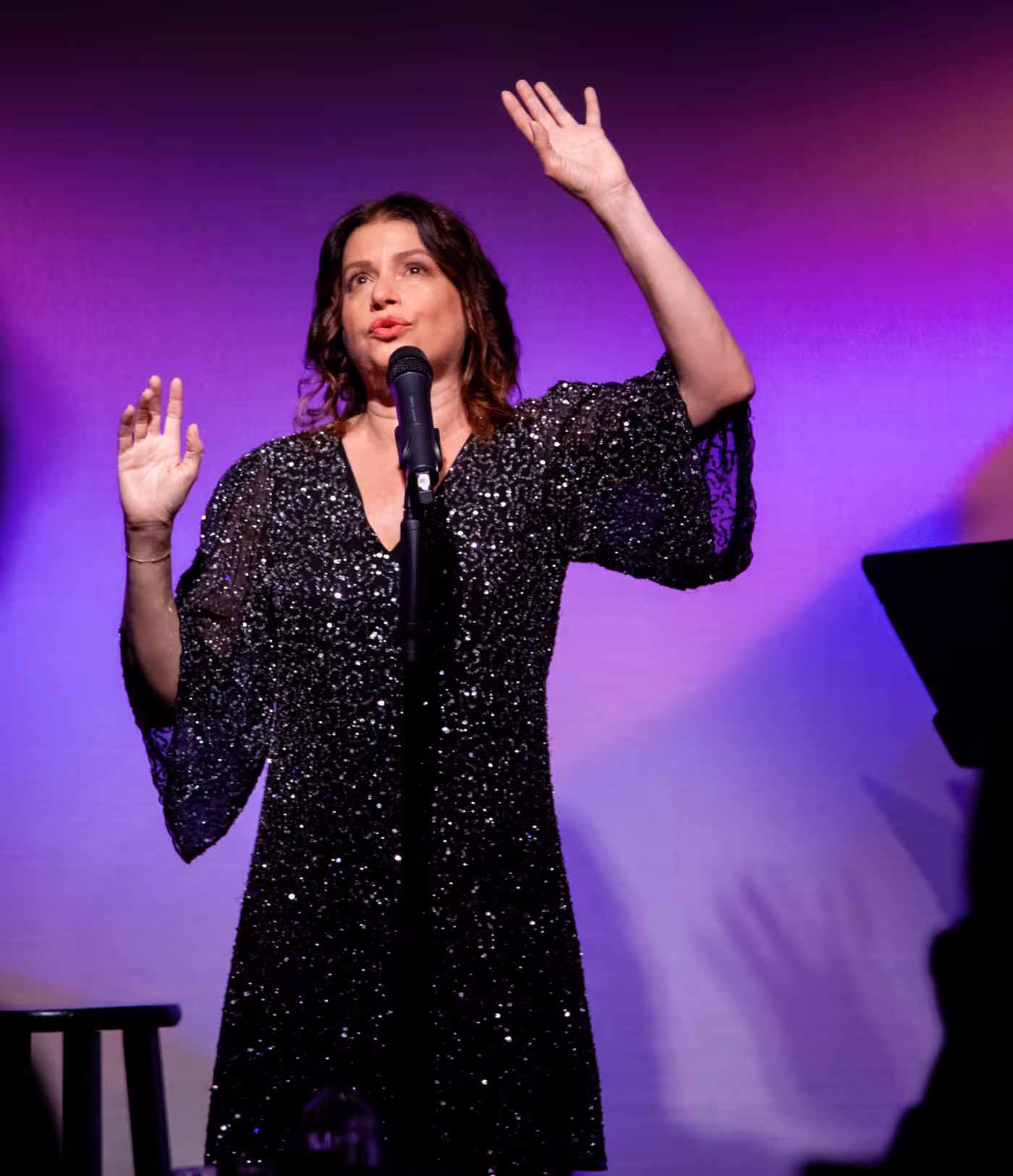 Review: Gerrilyn Sohn Debuts TIMELESS: A TRIBUTE TO BERNADETTE PETERS at Don't Tell Mama Image