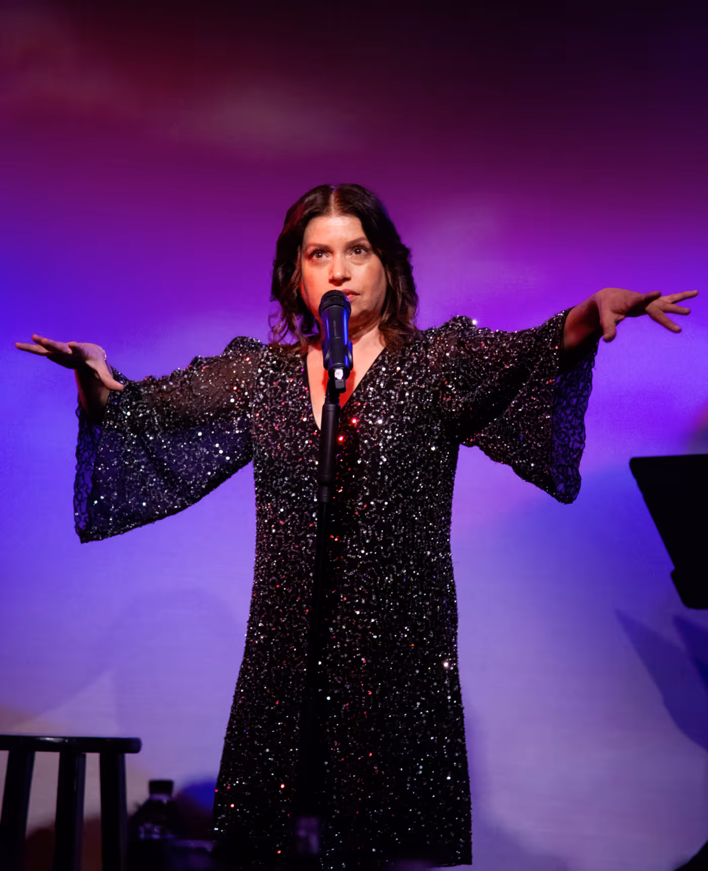 Review: Gerrilyn Sohn Debuts TIMELESS: A TRIBUTE TO BERNADETTE PETERS at Don't Tell Mama Image