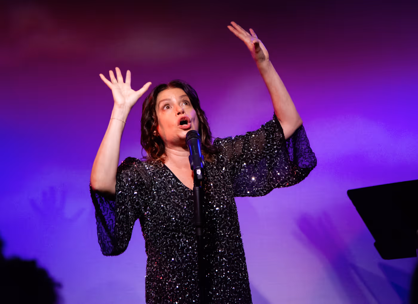 Review: Gerrilyn Sohn Debuts TIMELESS: A TRIBUTE TO BERNADETTE PETERS at Don't Tell Mama Image