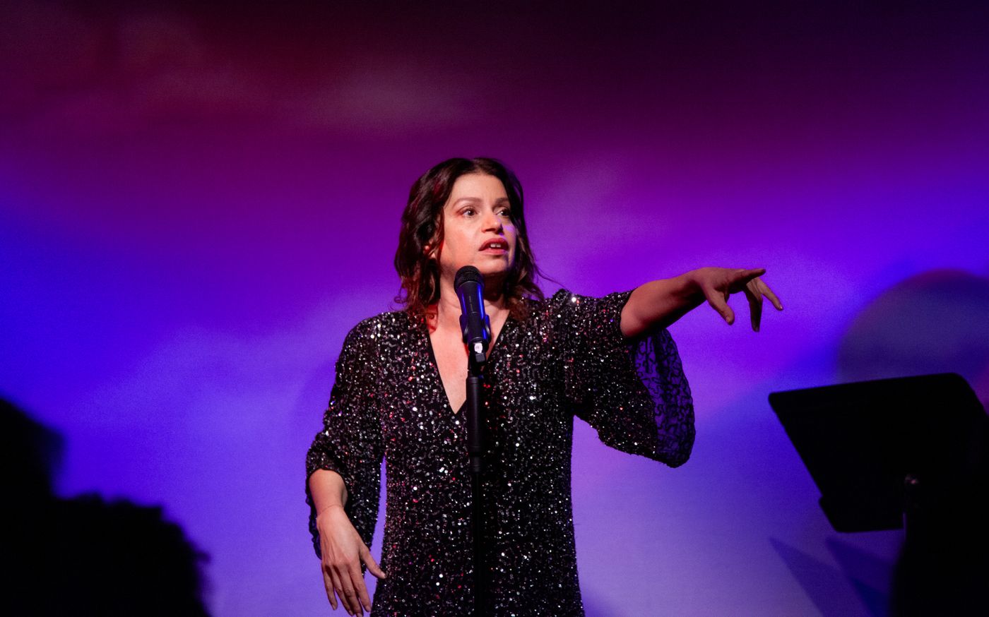 Review: Gerrilyn Sohn Debuts TIMELESS: A TRIBUTE TO BERNADETTE PETERS at Don't Tell Mama Image