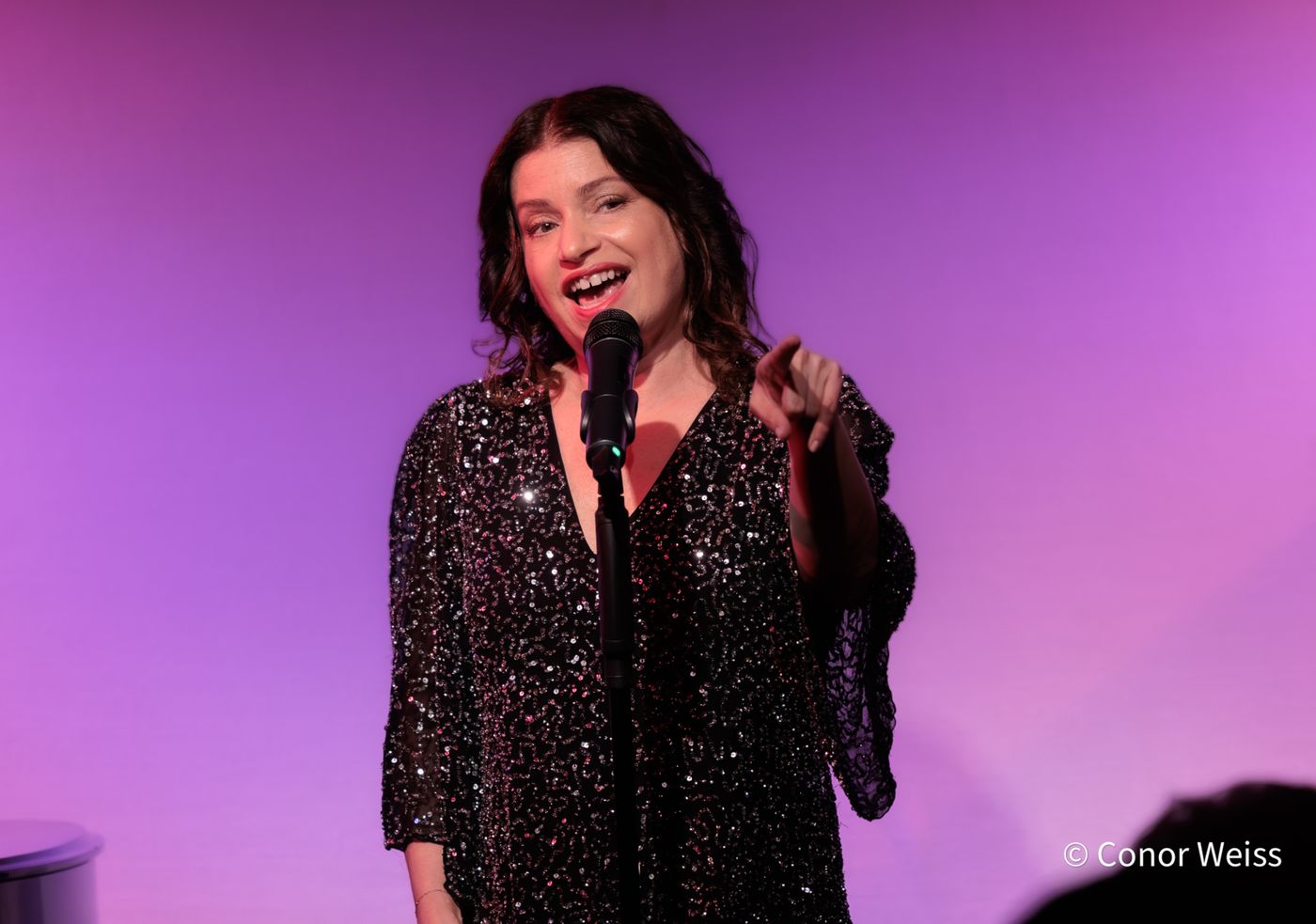 Photos: Gerrilyn Sohn's TIMELESS: A TRIBUTE TO BERNADETTE PETERS at Don't Tell Mama  Image