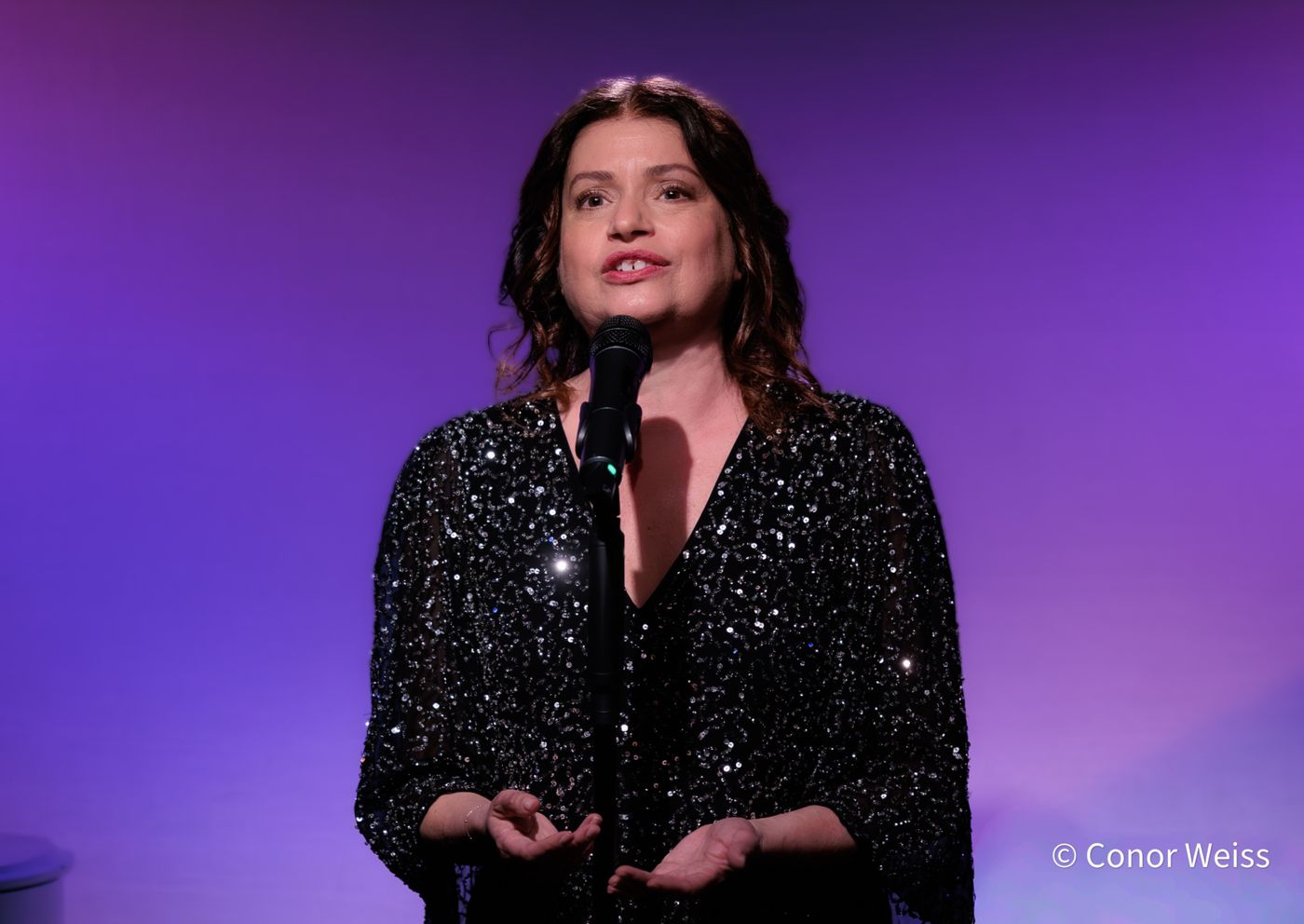 Photos: Gerrilyn Sohn's TIMELESS: A TRIBUTE TO BERNADETTE PETERS at Don't Tell Mama  Image