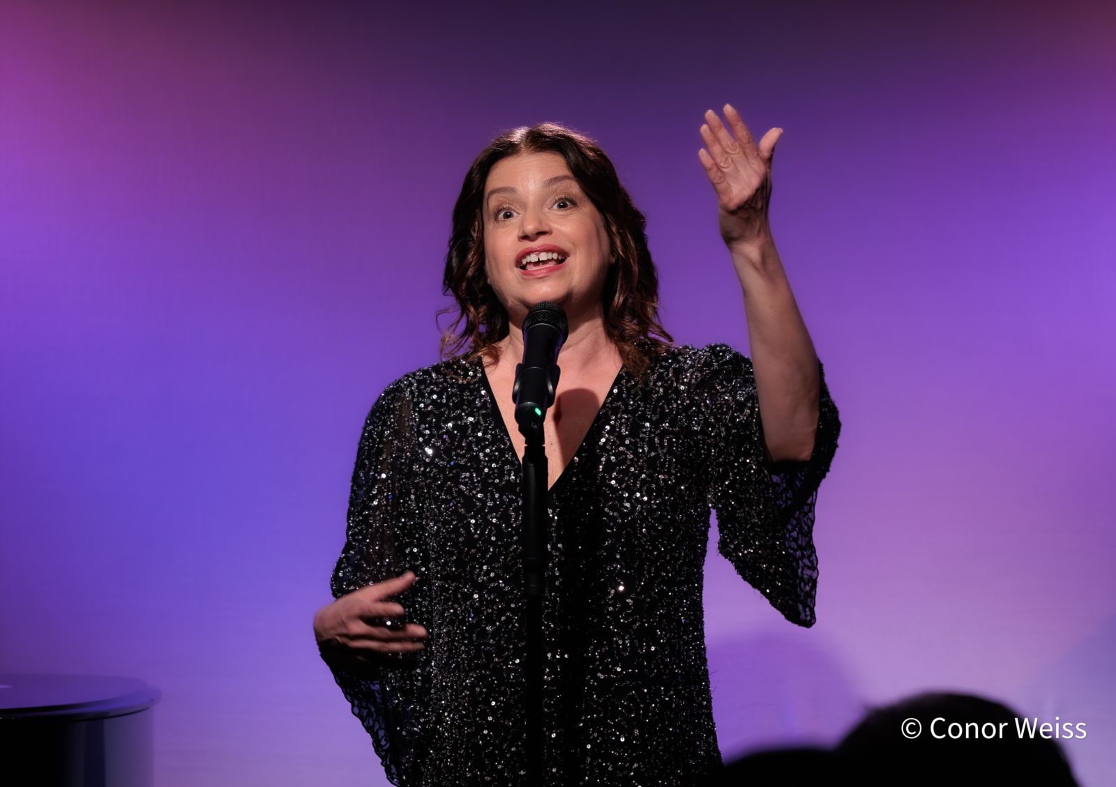 Photos: Gerrilyn Sohn's TIMELESS: A TRIBUTE TO BERNADETTE PETERS at Don't Tell Mama — photo 3 of 20