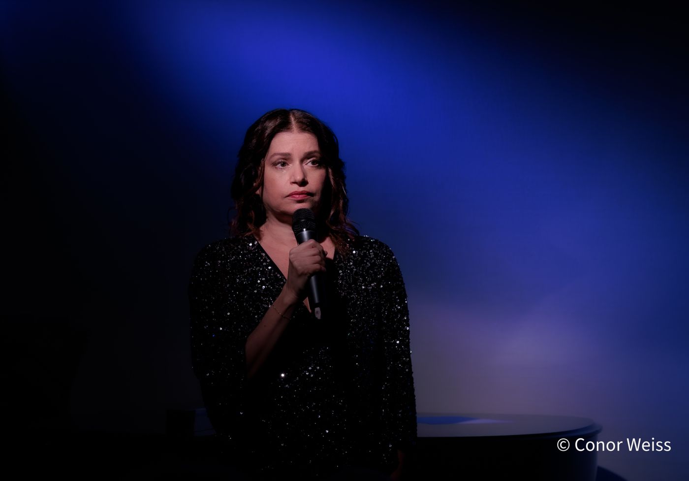 Photos: Gerrilyn Sohn's TIMELESS: A TRIBUTE TO BERNADETTE PETERS at Don't Tell Mama  Image