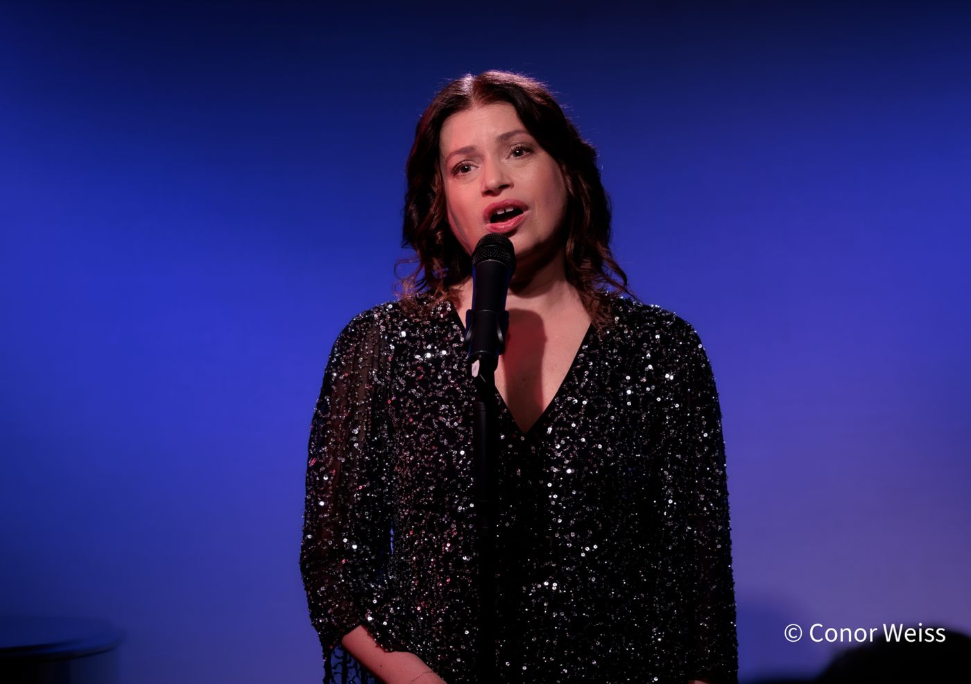 Photos: Gerrilyn Sohn's TIMELESS: A TRIBUTE TO BERNADETTE PETERS at Don't Tell Mama  Image