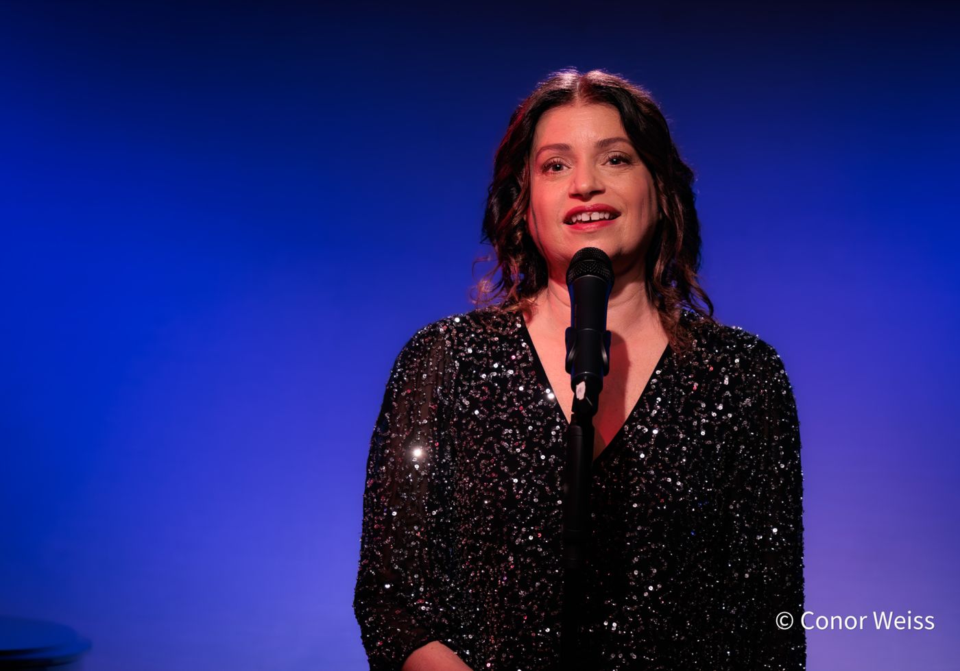 Photos: Gerrilyn Sohn's TIMELESS: A TRIBUTE TO BERNADETTE PETERS at Don't Tell Mama  Image