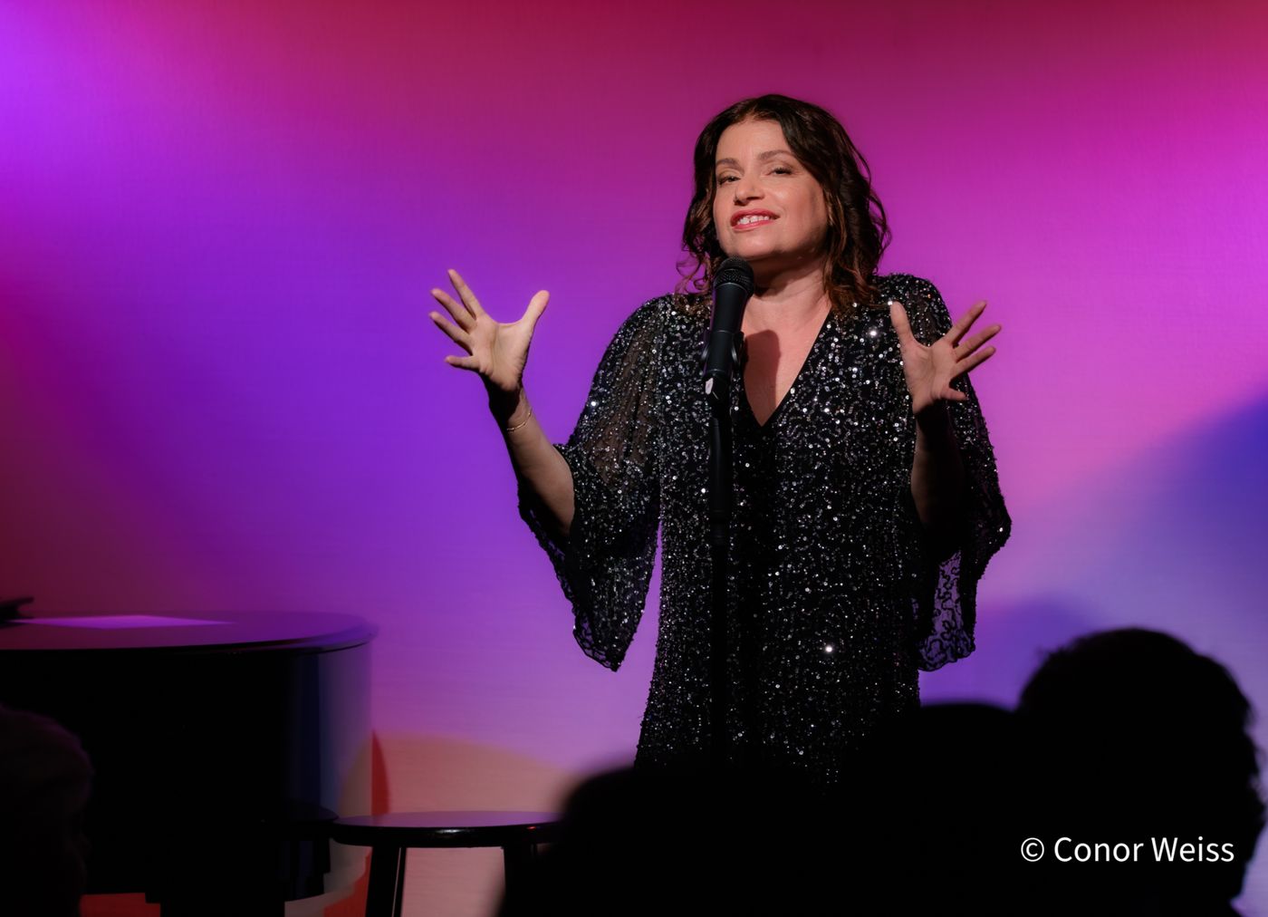 Photos: Gerrilyn Sohn's TIMELESS: A TRIBUTE TO BERNADETTE PETERS at Don't Tell Mama  Image