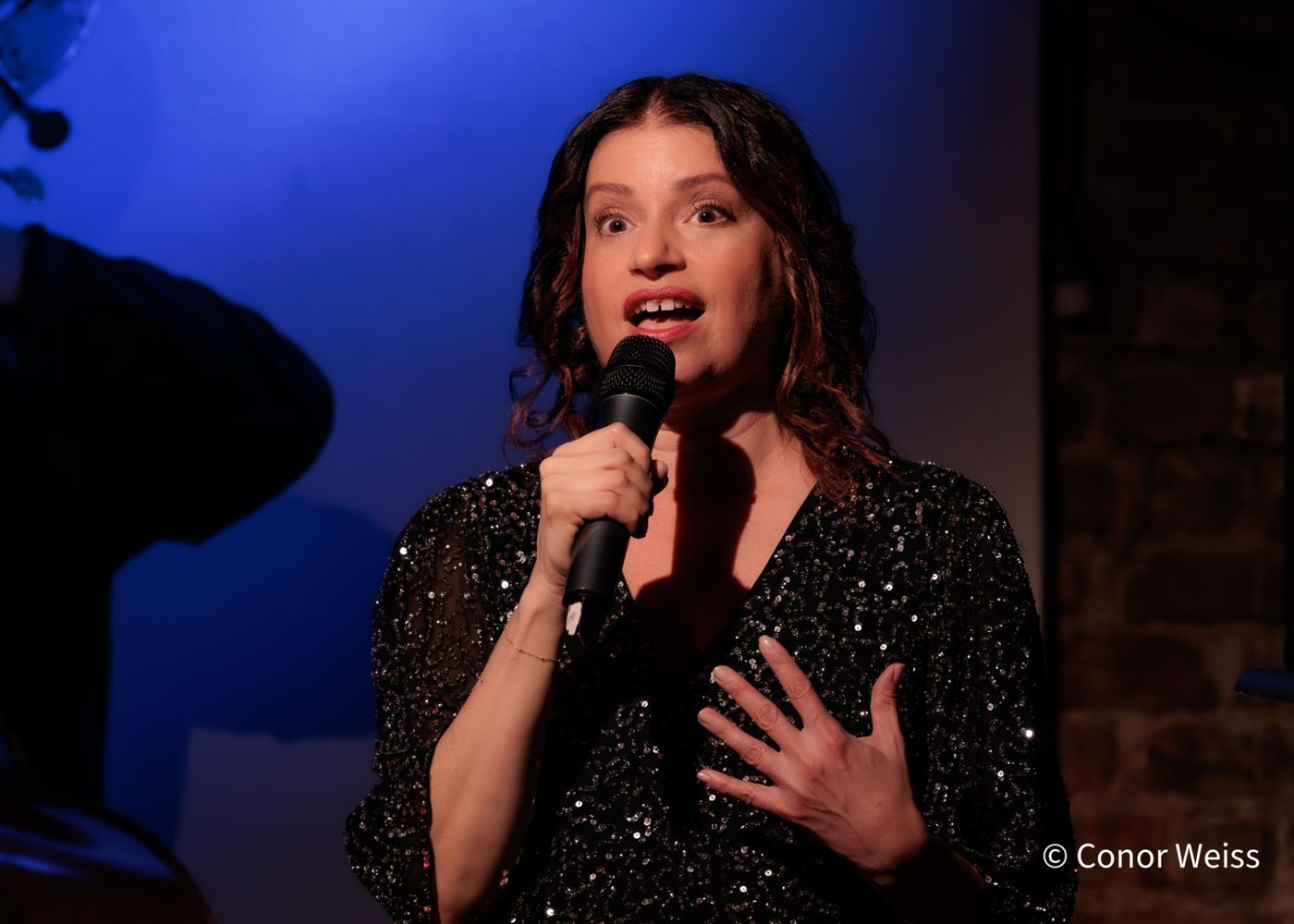 Photos: Gerrilyn Sohn's TIMELESS: A TRIBUTE TO BERNADETTE PETERS at Don't Tell Mama  Image