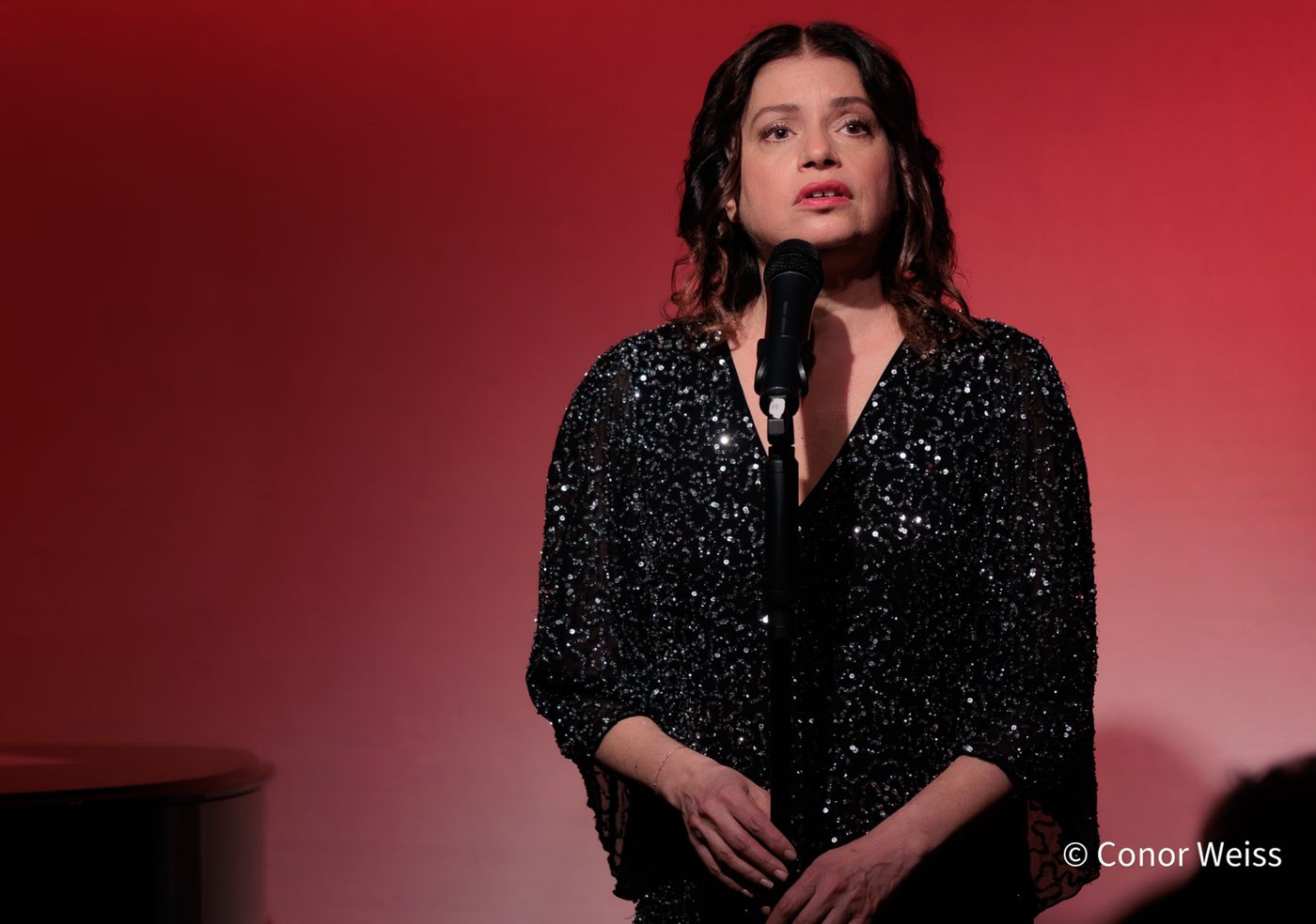 Photos: Gerrilyn Sohn's TIMELESS: A TRIBUTE TO BERNADETTE PETERS at Don't Tell Mama  Image