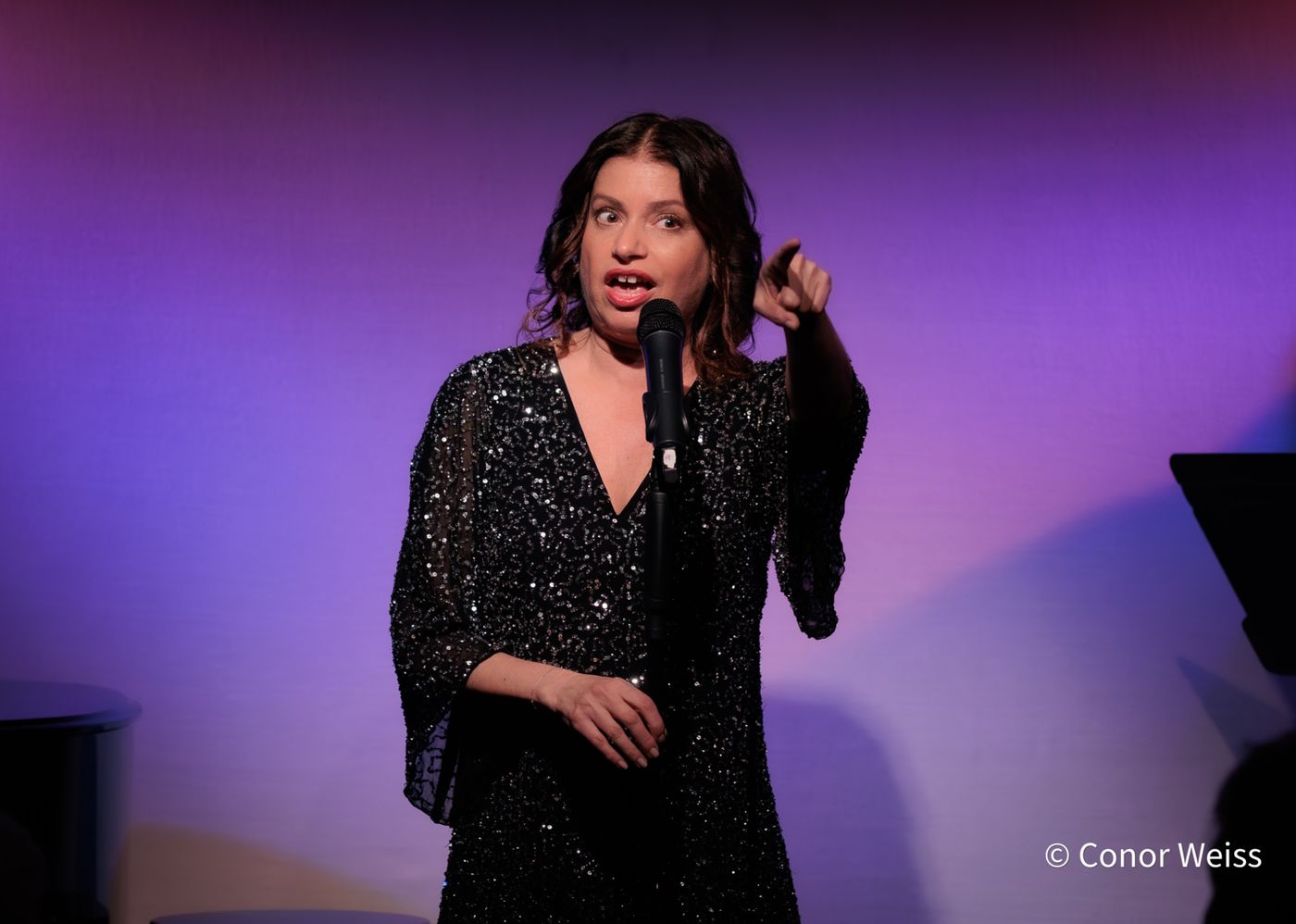 Photos: Gerrilyn Sohn's TIMELESS: A TRIBUTE TO BERNADETTE PETERS at Don't Tell Mama  Image