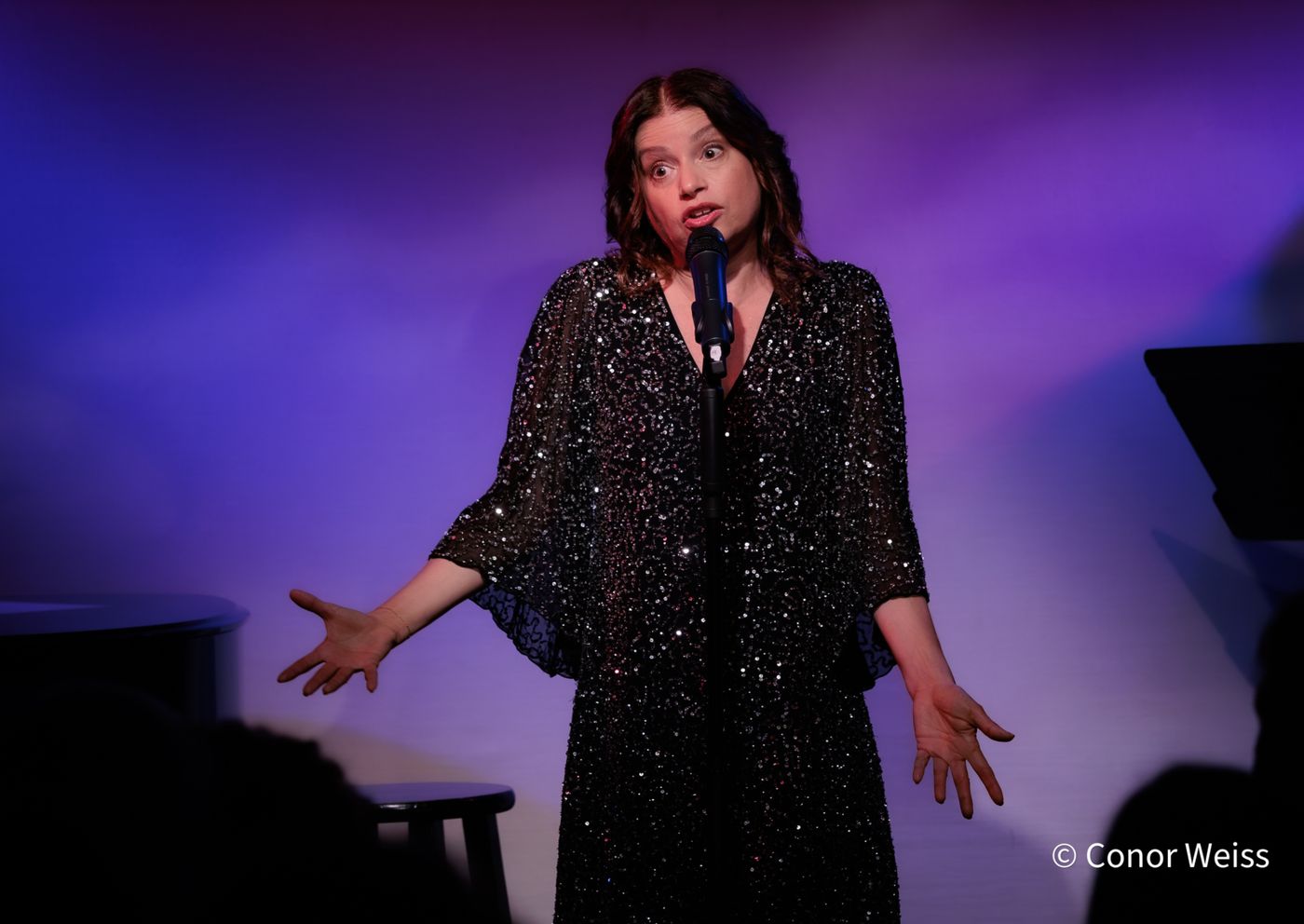 Photos: Gerrilyn Sohn's TIMELESS: A TRIBUTE TO BERNADETTE PETERS at Don't Tell Mama  Image