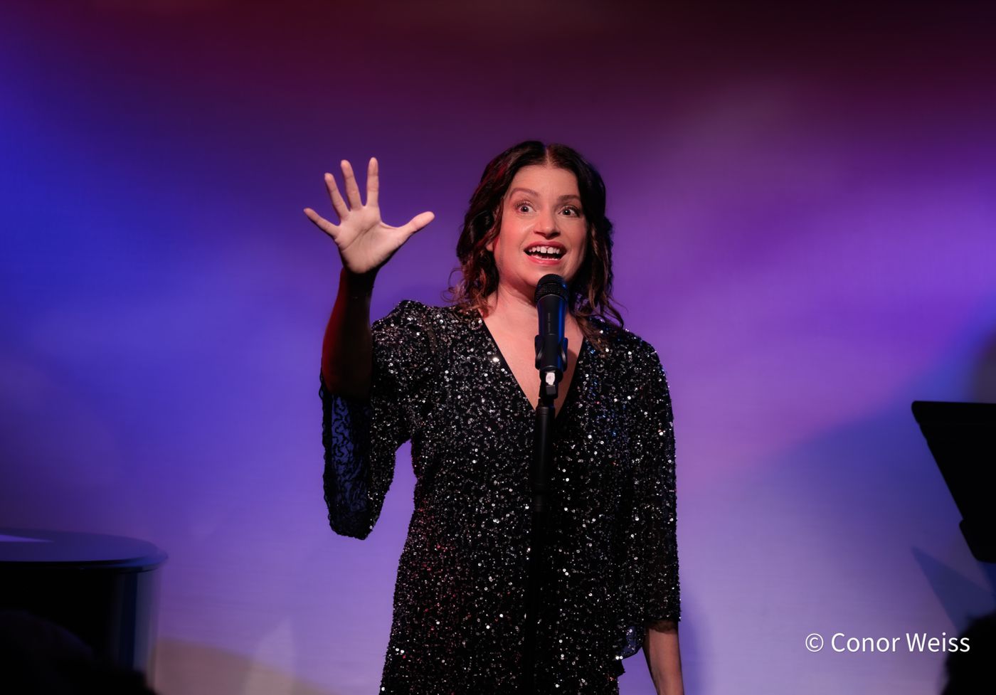 Photos: Gerrilyn Sohn's TIMELESS: A TRIBUTE TO BERNADETTE PETERS at Don't Tell Mama  Image