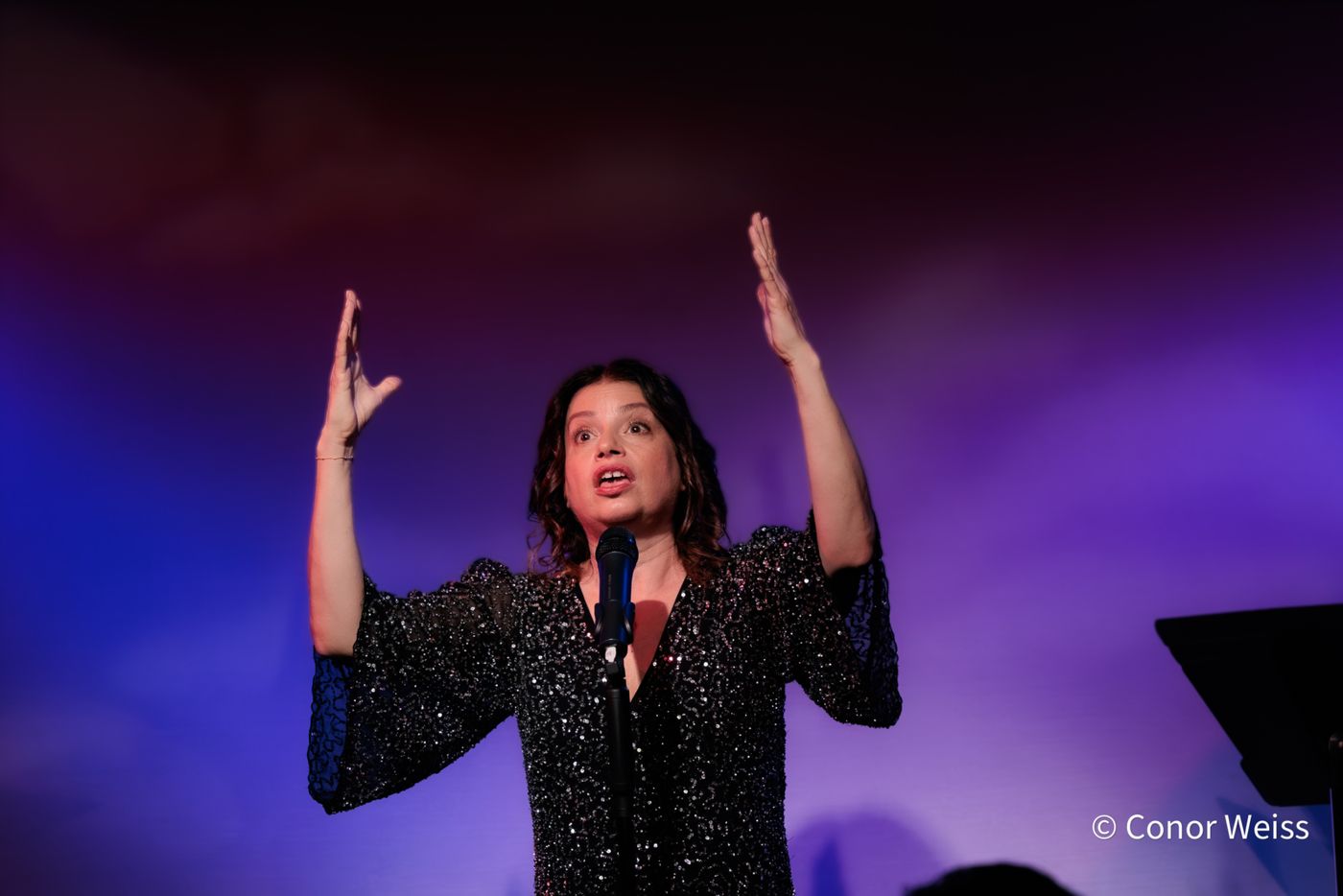 Photos: Gerrilyn Sohn's TIMELESS: A TRIBUTE TO BERNADETTE PETERS at Don't Tell Mama  Image