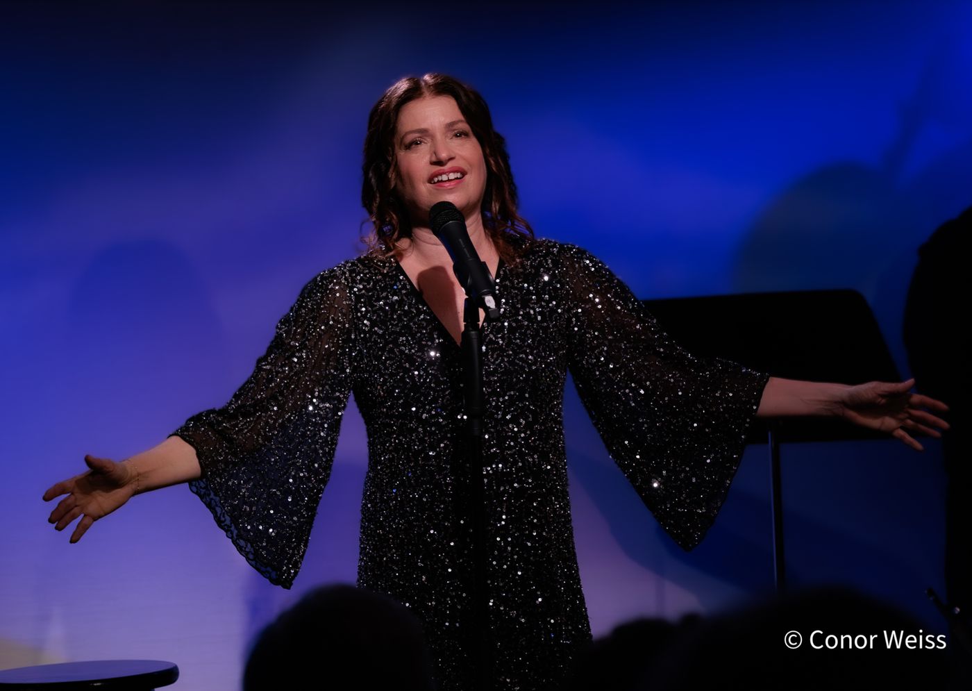 Photos: Gerrilyn Sohn's TIMELESS: A TRIBUTE TO BERNADETTE PETERS at Don't Tell Mama  Image