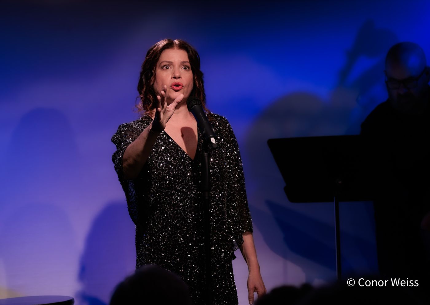 Photos: Gerrilyn Sohn's TIMELESS: A TRIBUTE TO BERNADETTE PETERS at Don't Tell Mama  Image