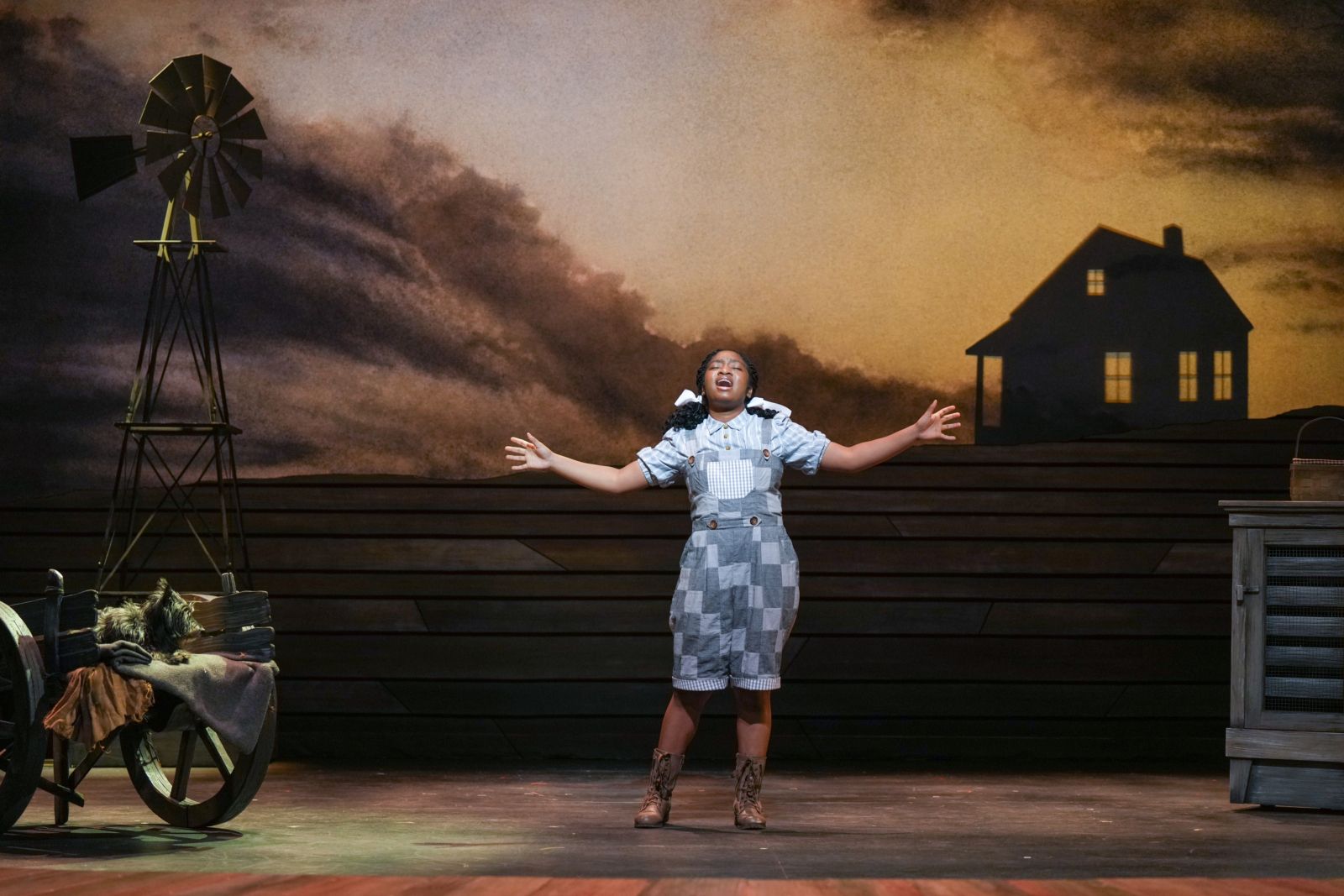 Photos: First Look at THE WIZARD OF OZ at Children’s Theatre Company — photo 1 of 16