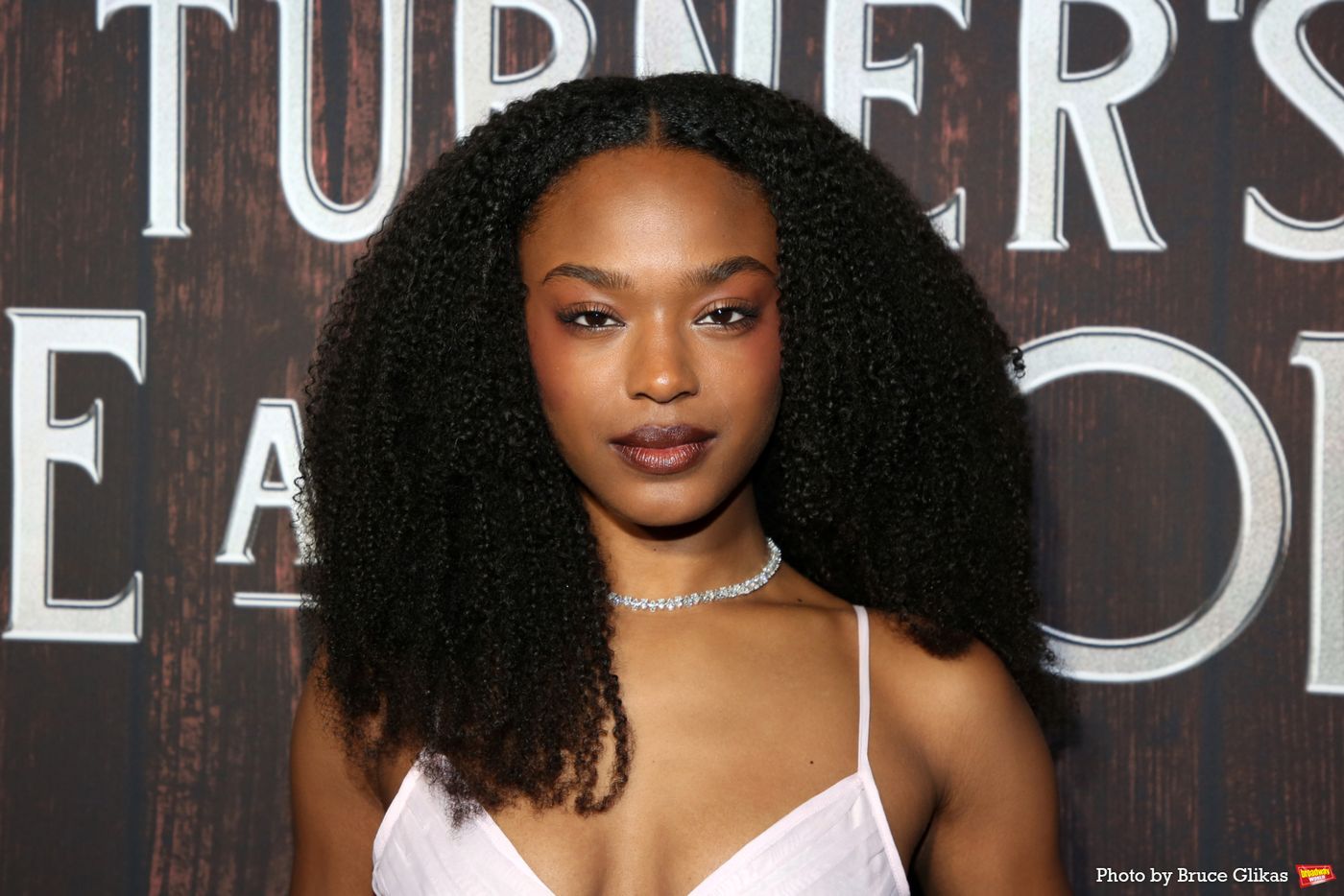 Photos: JOE TURNER'S COME AND GONE Cast Walks the Red Carpet on Opening Night  Image