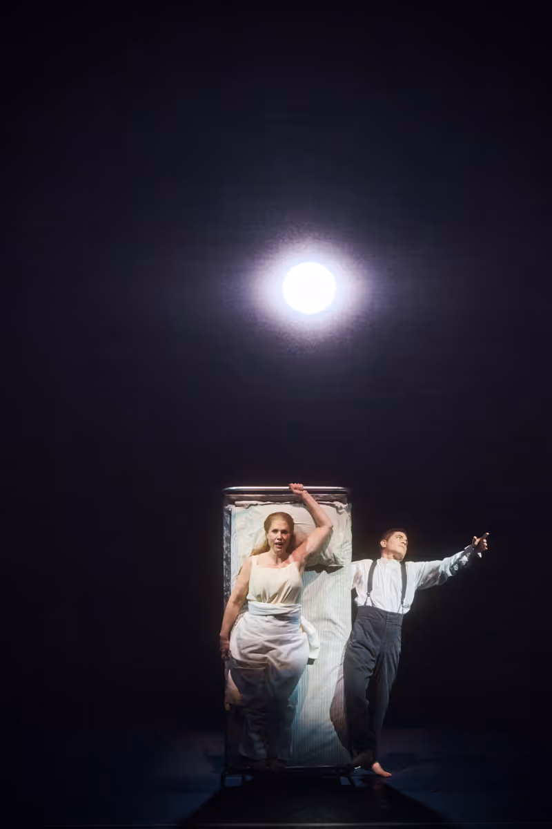 Review: BLUEBEARD'S CASTLE/ERWARTUNG at Four Seasons Centre For The Performing Arts Image