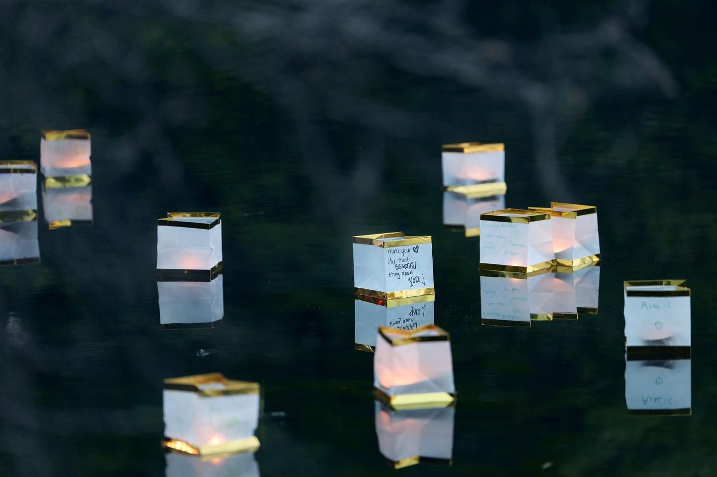 Feature: LANTERNS 2026 at Wildwood Park For The Arts in Little Rock  Image