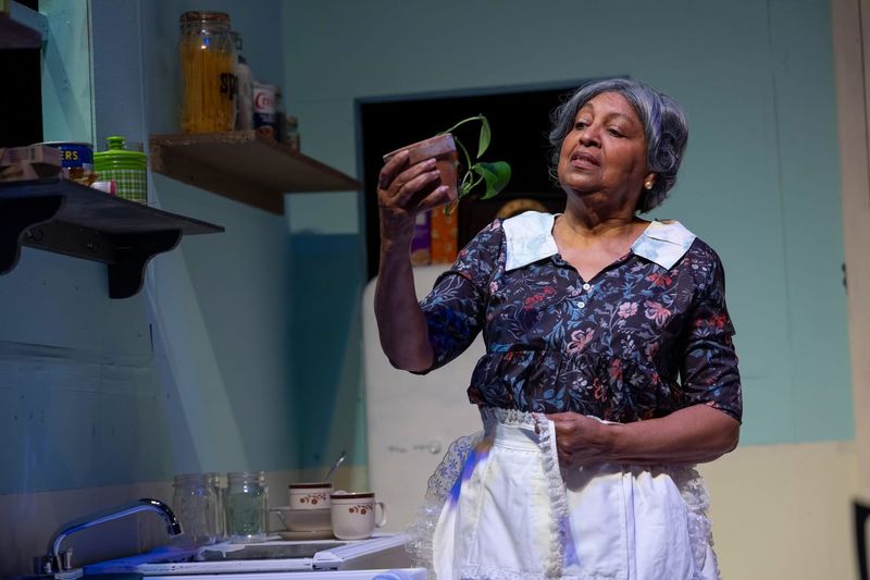 Review: A RAISIN IN THE SUN at Lee St. Theatre Image