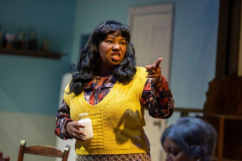 Review: A RAISIN IN THE SUN at Lee St. Theatre Image