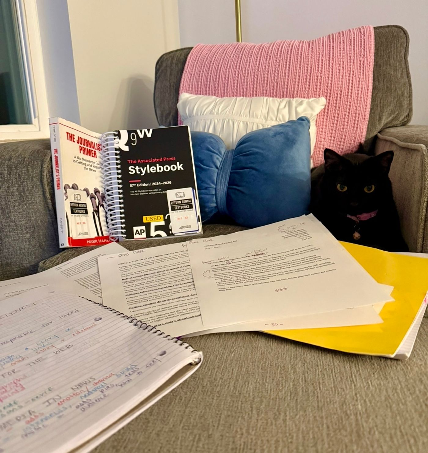 Student Blog: Tuna Fish is Tasty but it Won't Sustain Me  Image