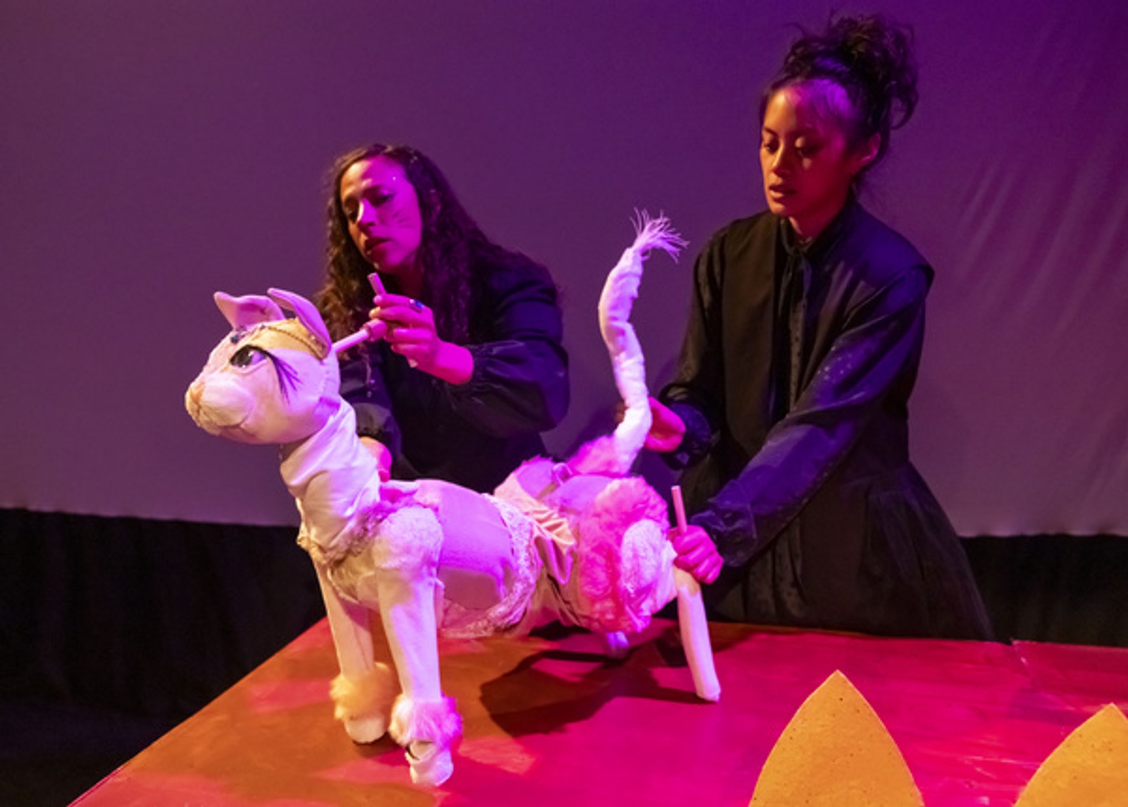 Photos: Midnight Radio's DREAMCATS! At The Gene Frankel Theatre — photo 14 of 18