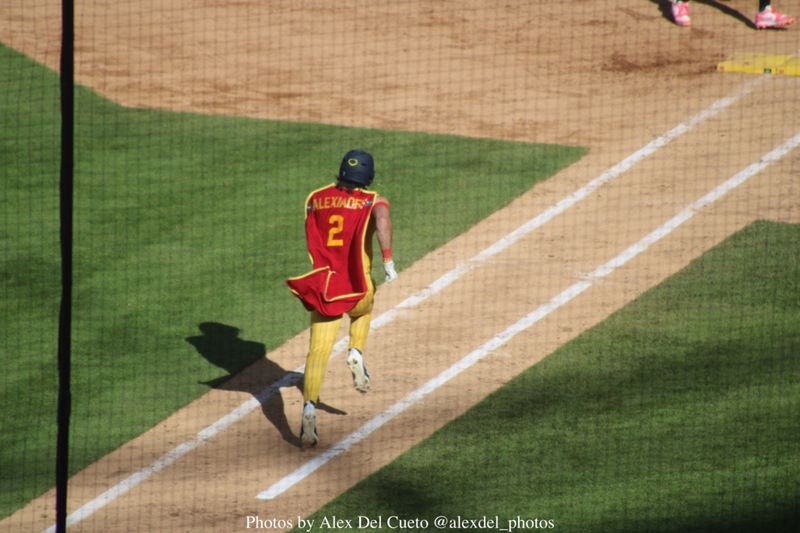 Review: The Savannah Bananas BANANA BALL at Yankee Stadium was Truly Bananas Image