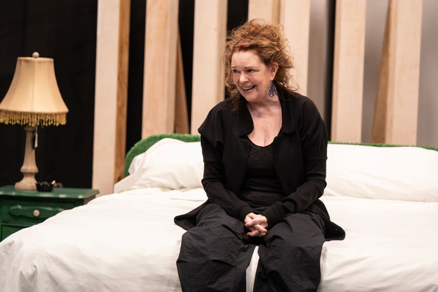 Photos: Francis Jue, LaChanze and More in Free Shakespeare in the Park's ROMEO & JULIET Rehearsals  Image