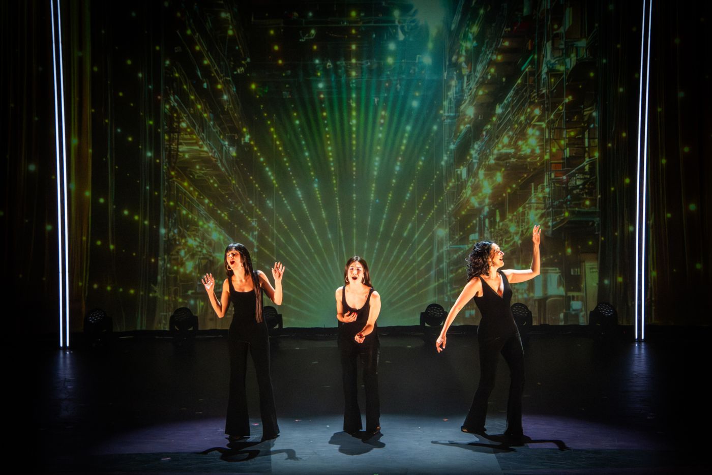 Photos: First Look at THE CHER SHOW at The Wick Theatre  Image