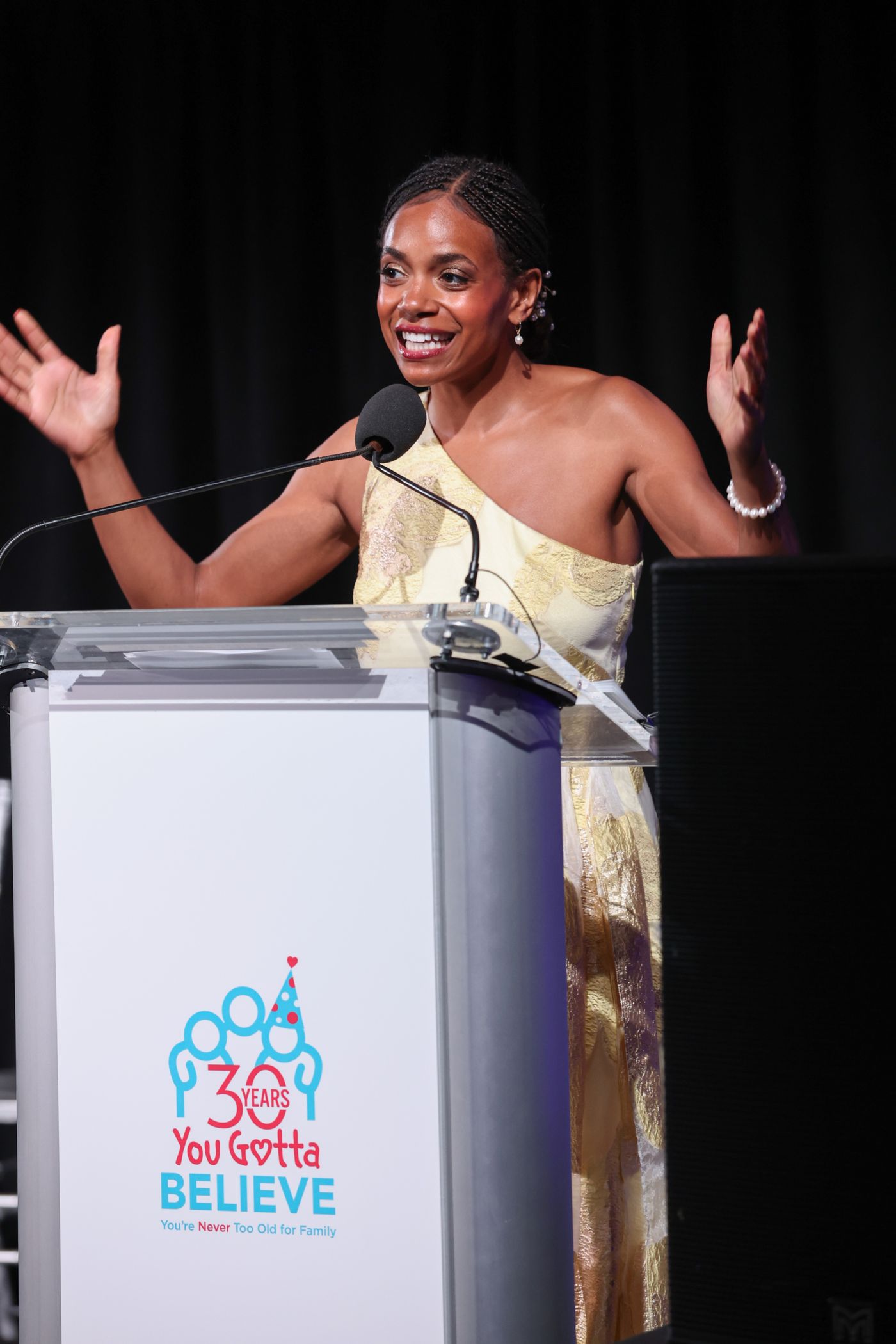 Photos: Brian Stokes Mitchell, Charlotte d'Amboise, and More Attend YOU GOTTA BELIEVE Gala  Image