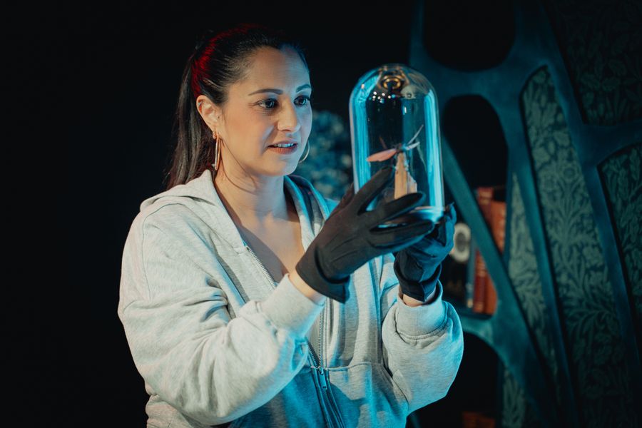 Review: THE WASP, Southwark Playhouse Image