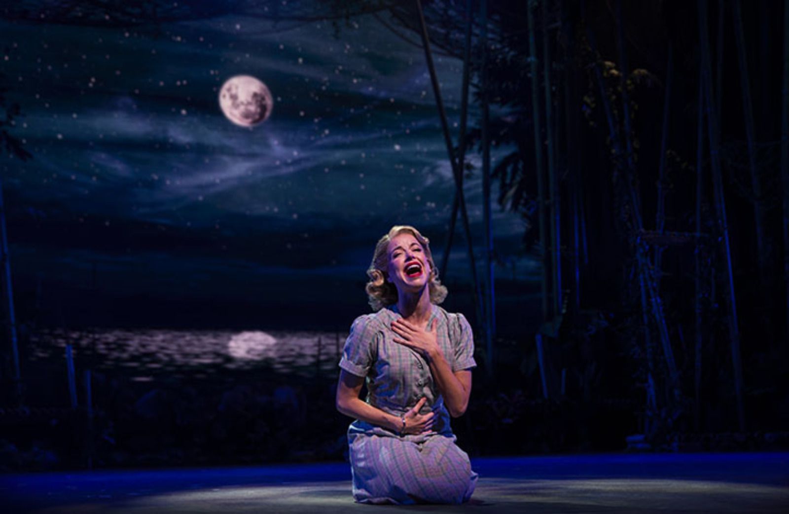 Photos: SOUTH PACIFIC Opens At Paramount Theatre — photo 17 of 18