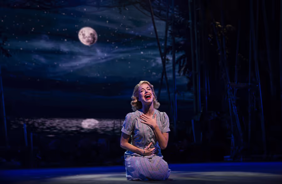 Photos: SOUTH PACIFIC Opens At Paramount Theatre  Image