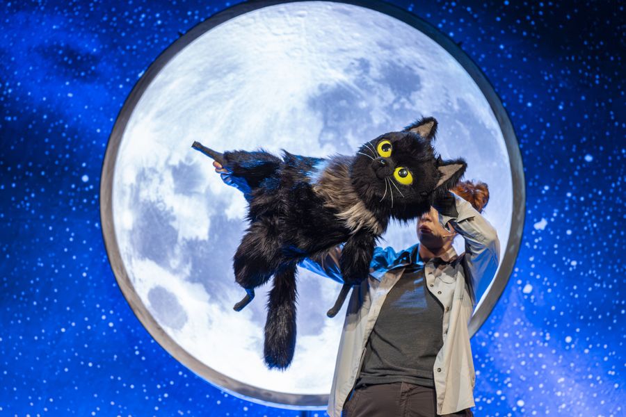 Guest Blog: 'It Has Been An Honour And An Enormous Responsibility': Samantha Lane on Adapting TOTO THE NINJA CAT AND THE GREAT SNAKE ESCAPE For The Stage Image