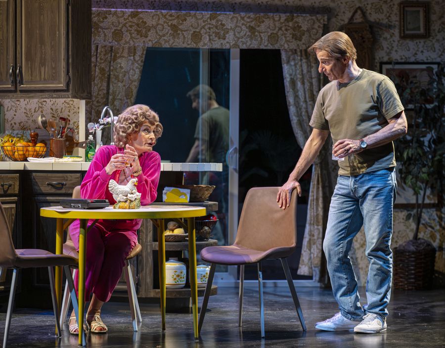 Review: PICTURES FROM HOME at Marin Theatre Image